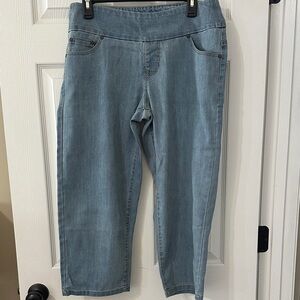 Chadwick’s Women's Blue Jeans
